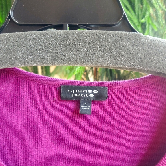 Spense PETITE Winter Dress - Picture 3 of 3